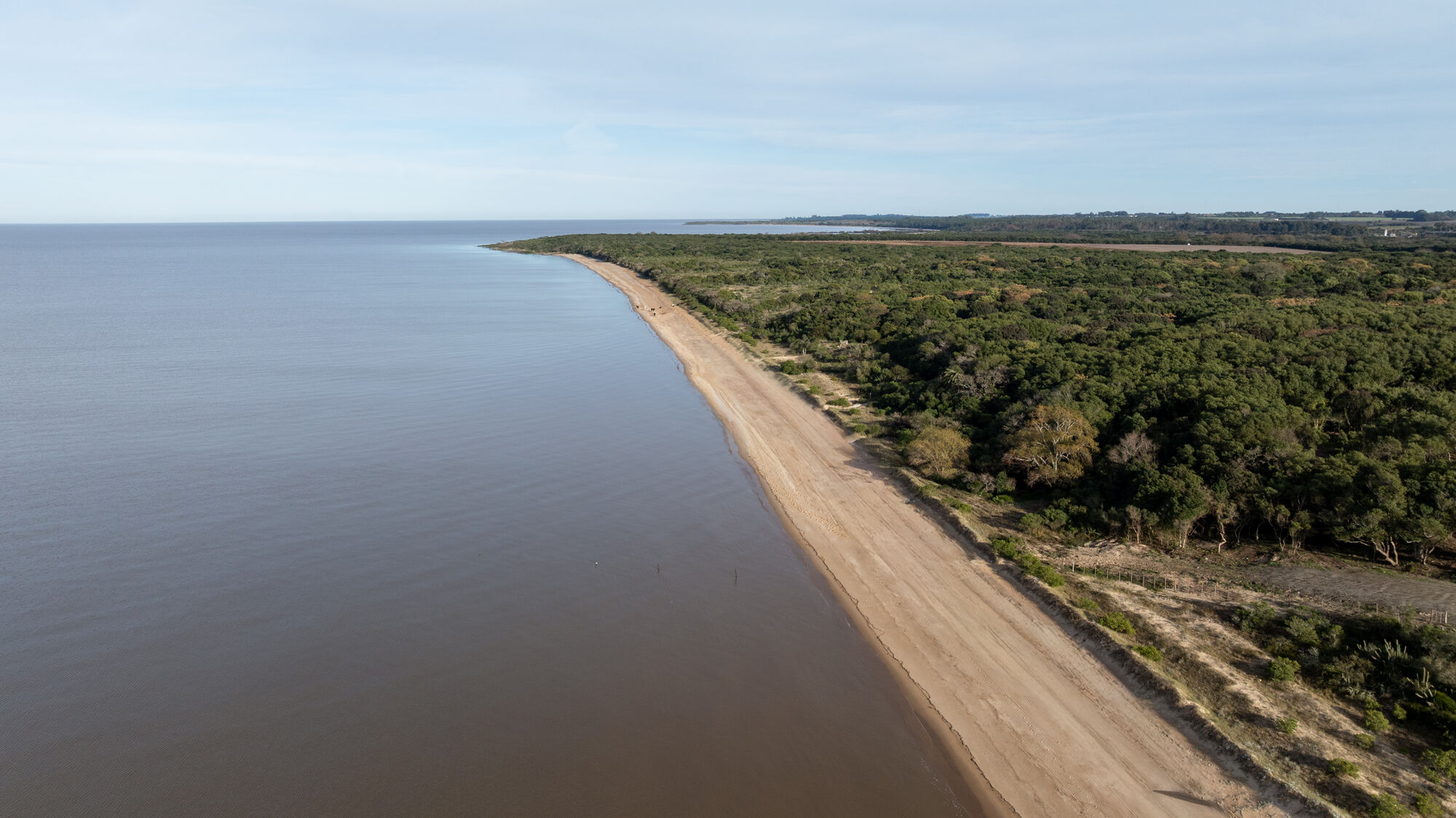 La costa del Río de la Plata: playa, barrancas y monte nativo